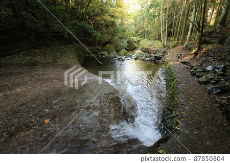 愛媛縣香椿市秋河谷 87850804