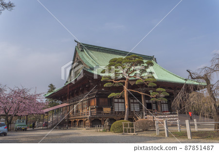 Spring Gokokuji Temple (Main Hall) Spring Gokokuji Temple (Main Hall) 87851487