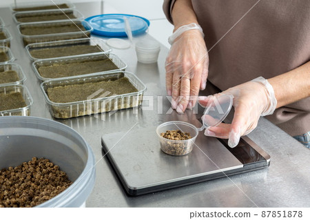 Planting micro-greens on mineral wool for growing seeds in a greenhouse. Micro-green farm. Production of vitamin nutrition, blurred focus Planting micro-greens on mineral wool for growing seeds in a greenhouse. Micro-green farm. Production of vitamin nutrition, blurred focus 87851878