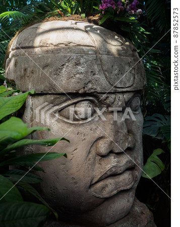 Olmec sculpture carved from stone. Mayan symbol - Big stone head statue in a jungle 87852573