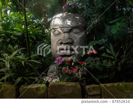 Olmec sculpture carved from stone. Mayan symbol - Big stone head statue in a jungle Olmec sculpture carved from stone. Mayan symbol - Big stone head statue in a jungle 87852610