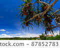 Okinawa Onna Village Okinawa Onna Village 87852783