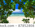 Okinawa Onna Village The sea seen from the shade of the beach Okinawa Onna Village The sea seen from the shade of the beach 87852808
