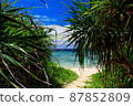 Road leading to Okinawa Onna Village beach Road leading to Okinawa Onna Village beach 87852809