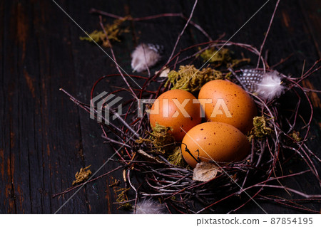 nest with big eggs 87854195