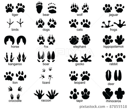 animal, silhouette, icon 87855518