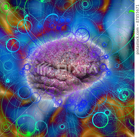 Colorful Brain 87855671