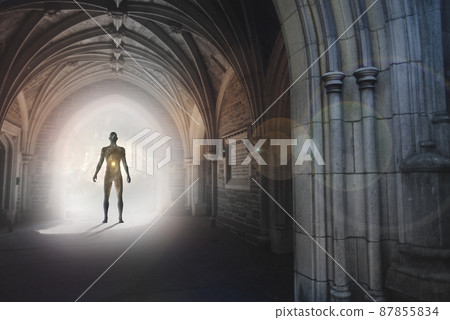 Messenger from other worlds 87855834