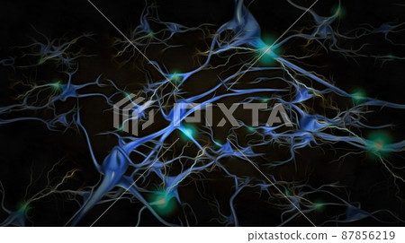 Neurons Neurons 87856219
