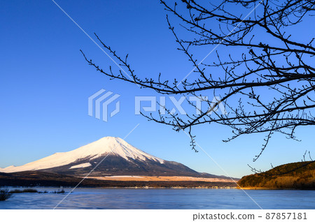 （山梨縣）山中湖和富士山/冬天的風景 87857181
