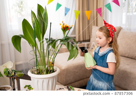 a little cute girl sprays the houseplant with water. a little cute girl sprays the houseplant with water. 87857306