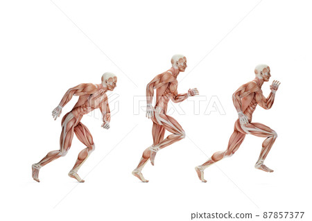 Human Running Tutorial Human Run Cycle