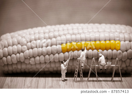 Miniature painters coloring corncob. Macro photo Miniature painters coloring corncob. Macro photo 87857413
