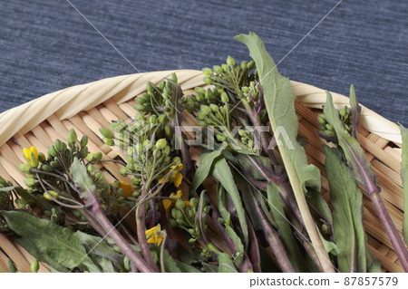 Red vegetable moss on a colander 87857579