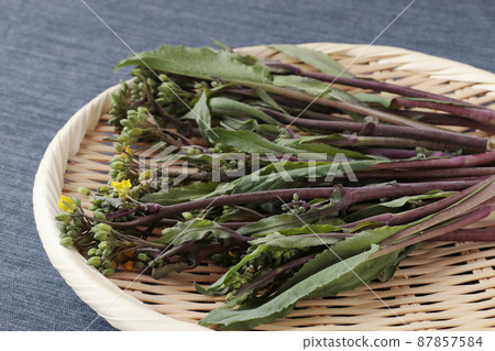 濾鍋上的紅色蔬菜苔蘚 濾鍋上的紅色蔬菜苔蘚 87857584