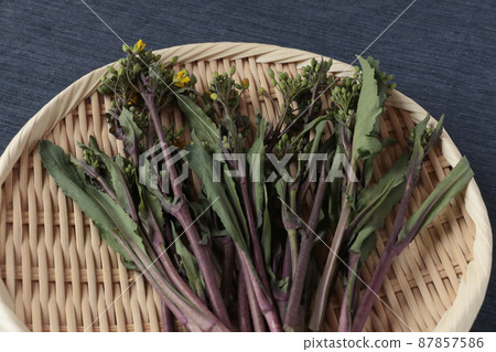 濾鍋上的紅色蔬菜苔蘚 濾鍋上的紅色蔬菜苔蘚 87857586