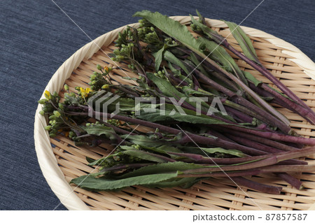 Red vegetable moss on a colander 87857587