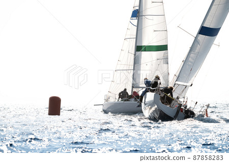 Two sport sailboats during the regatta 87858283