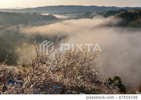 The sea of clouds of Tsukigase Umebayashi The sea of clouds of Tsukigase Umebayashi 87859198
