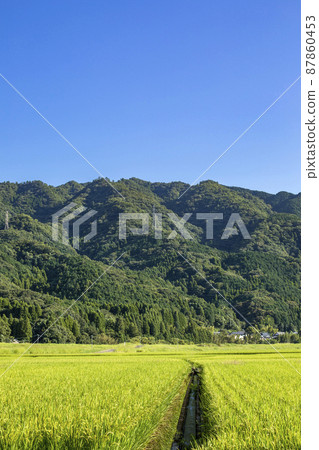 Satoyama的田園風光 Satoyama的田園風光 87860453