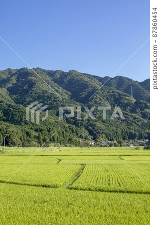 Satoyama的田園風光 Satoyama的田園風光 87860454
