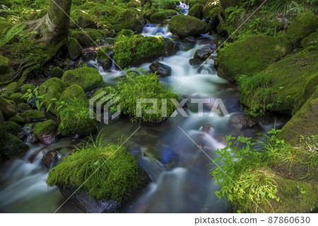<Tottori Prefecture> Oku-Oyama, Kitanizawa mountain stream, summer <Tottori Prefecture> Oku-Oyama, Kitanizawa mountain stream, summer 87860630