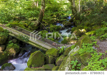 <Tottori Prefecture> Oku-Oyama, Kitanizawa mountain stream, summer 87860631