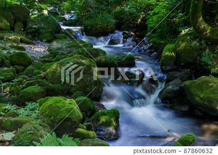 <Tottori Prefecture> Oku-Oyama, Kitanizawa mountain stream, summer 87860632
