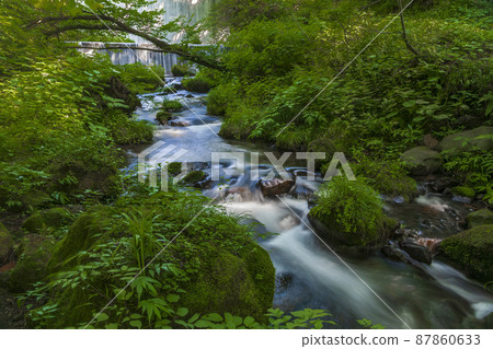 <Tottori Prefecture> Oku-Oyama, Kitanizawa mountain stream, summer 87860633