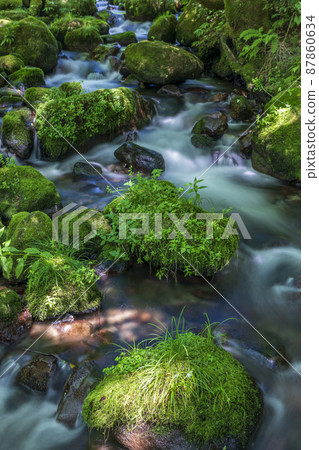 <Tottori Prefecture> Oku-Oyama, Kitanizawa mountain stream, summer 87860634