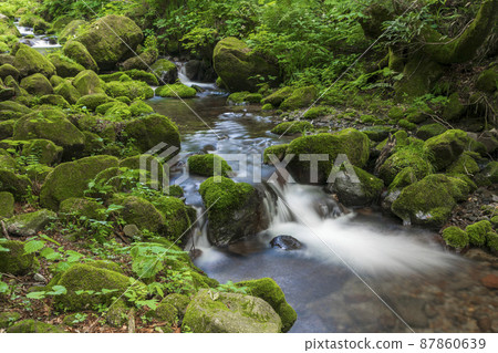 <Tottori Prefecture> Oku-Oyama, Kitanizawa mountain stream, summer 87860639