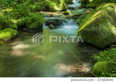 <Tottori Prefecture> Oku-Oyama, Kitanizawa mountain stream, summer 87860640