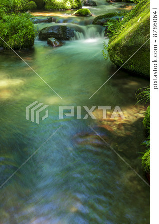 <Tottori Prefecture> Oku-Oyama, Kitanizawa mountain stream, summer 87860641