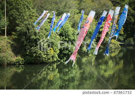 鯉魚ers並排顯示在住吉池塘 鯉魚ers並排顯示在住吉池塘 87861732