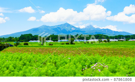 Yatsugatake seen from Hokuto city 87861808