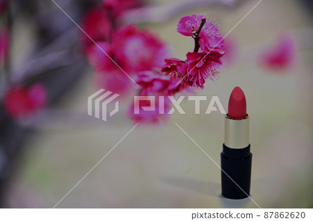 Red plum and lipstick Red plum and lipstick 87862620
