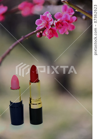 Red plum and lipstick Red plum and lipstick 87862623