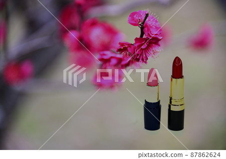 Red plum and lipstick Red plum and lipstick 87862624