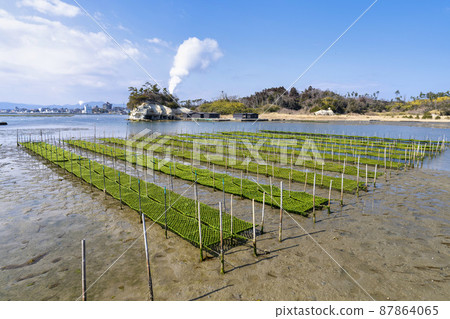 福島縣相馬市松川浦碼頭海藻養殖架的風景 福島縣相馬市松川浦碼頭海藻養殖架的風景 87864065