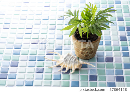 Blue tiles, foliage plants and seashells 87864158
