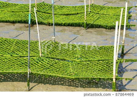 Scenery from Matsukawaura Pier Seaweed farming shelf Soma City, Fukushima Prefecture Scenery from Matsukawaura Pier Seaweed farming shelf Soma City, Fukushima Prefecture 87864469