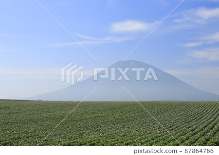 Potato field and Mt. Yotei in Mizuho, Kutchan-cho, Hokkaido ② Potato field and Mt. Yotei in Mizuho, Kutchan-cho, Hokkaido ② 87864766