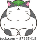 Brindle cat with Kashiwamochi leaves on its head 87865418