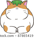A brown-white cat with Kashiwamochi leaves on its head 87865419