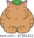 Tea tabby cat with Kashiwa mochi leaves on its head 87865422