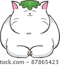 A white cat with Kashiwamochi leaves on his head 87865423