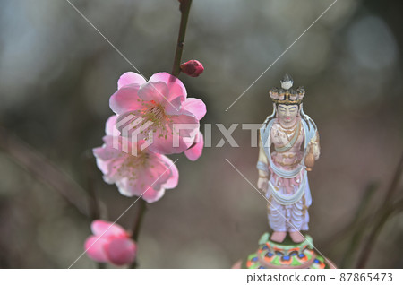 Red plum and Kannon 87865473