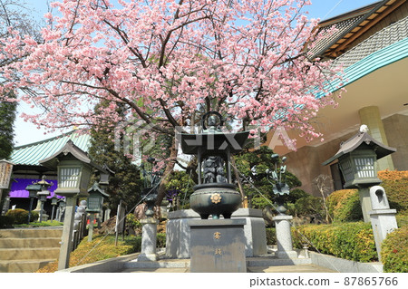 Mitsuzoin Gallery旁邊的Mizukake Fudoson（埼玉縣川口市Angyohara） 87865766