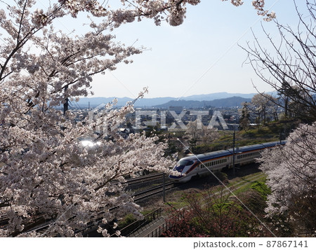 Sakura Express SAKURA EXPRESS Yamagata Shinkansen 87867141
