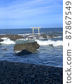 Torii torii 87867549